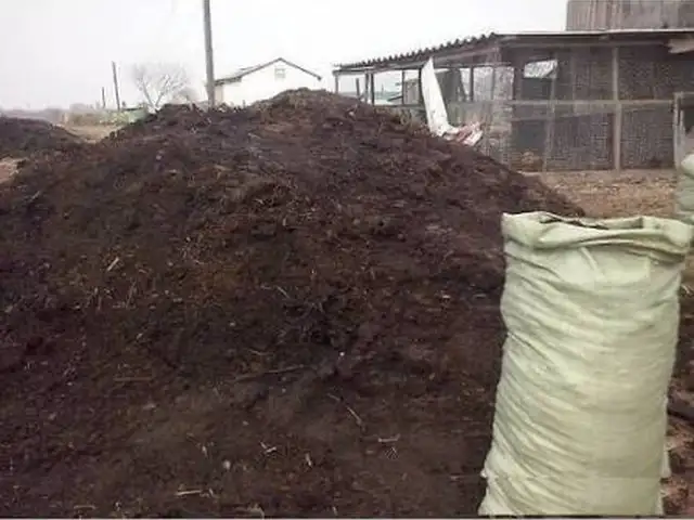 Поруи гов, Хуҷанд