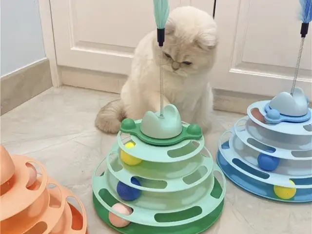 Игрушка для кошек, Худжанд