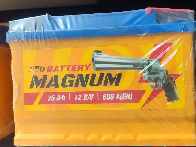 Аккумулятор magnum 75 a'h, Душанбе
