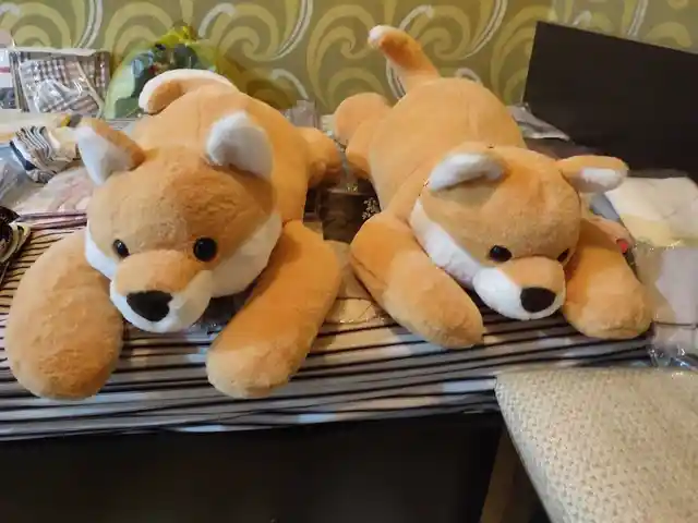 Мягкая игрушка, Худжанд