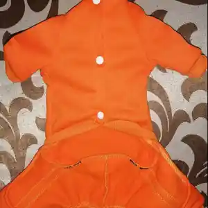 Спортивный костюм для кошек и собак, Душанбе