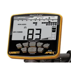 Металлоискатель Garrett Apex, Куляб
