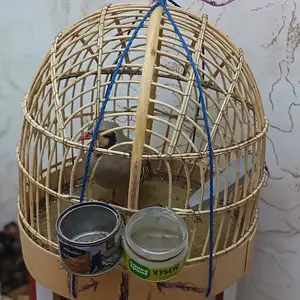 Кабк, Душанбе