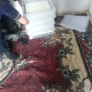 Инкубатор, Душанбе