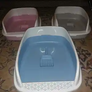 Лоток для кошек, Душанбе