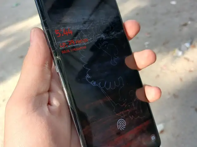 Samsung Galaxy S10, Вахдат