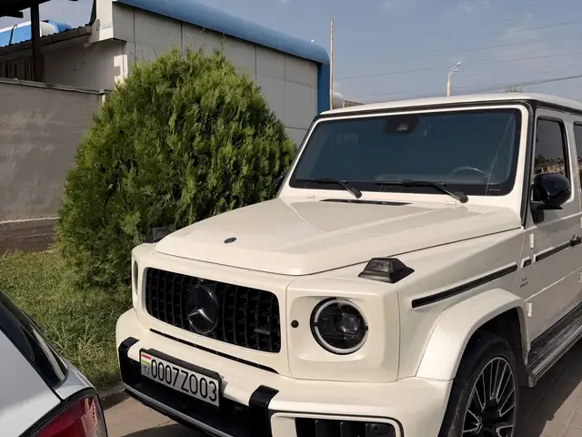 Mercedes-Benz G class