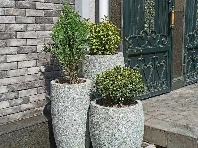 Вазы для цветов, Душанбе