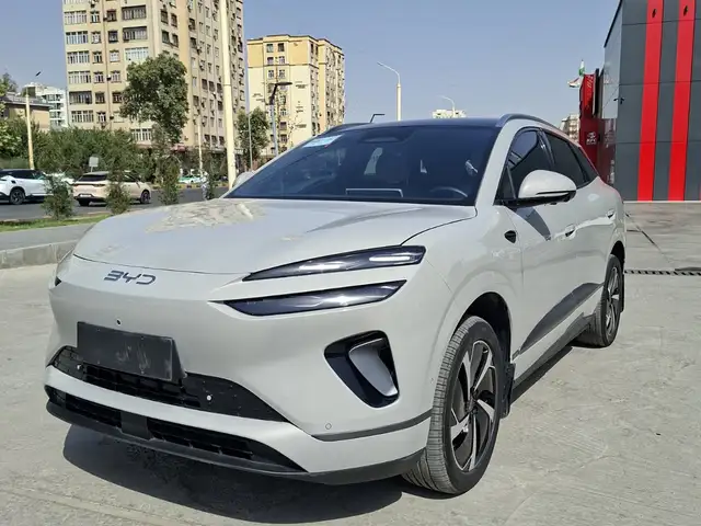 BYD Sea Lion 06