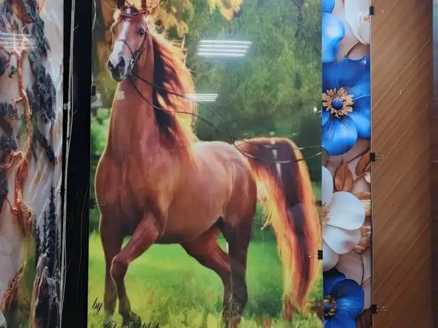 ПВХ Панель, Душанбе