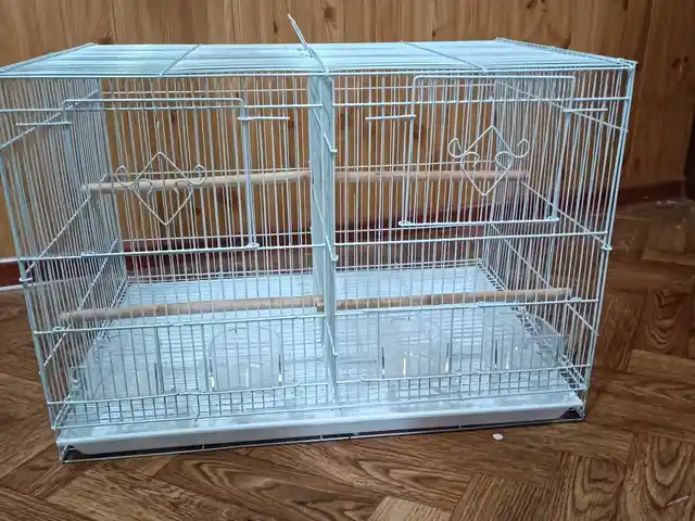 Клетка для птиц, Душанбе