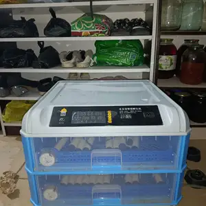 Инкубатор 320, Душанбе